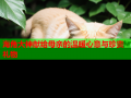 海角大神献给母亲的温暖心意与珍贵礼物