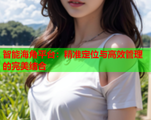 智能海角平台：精准定位与高效管理的完美结合