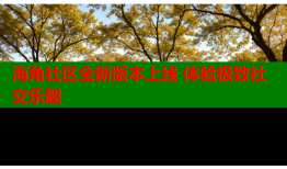 海角社区全新版本上线 体验极致社交乐趣