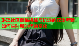 琳琅社区面临挑战与机遇的双重考验如何应对新时代的变化