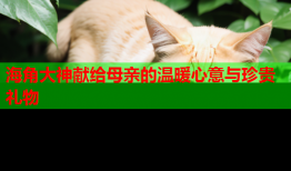 海角大神献给母亲的温暖心意与珍贵礼物