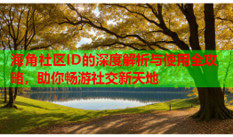 海角社区ID的深度解析与使用全攻略，助你畅游社交新天地