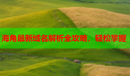 海角最新域名解析全攻略，轻松掌握