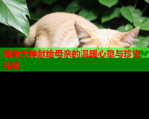 海角大神献给母亲的温暖心意与珍贵礼物