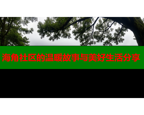 海角社区的温暖故事与美好生活分享